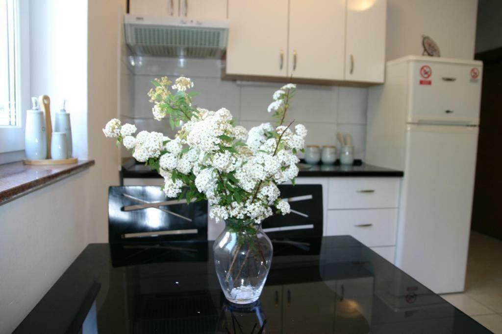 Vicy Apartment Новаля Екстериор снимка